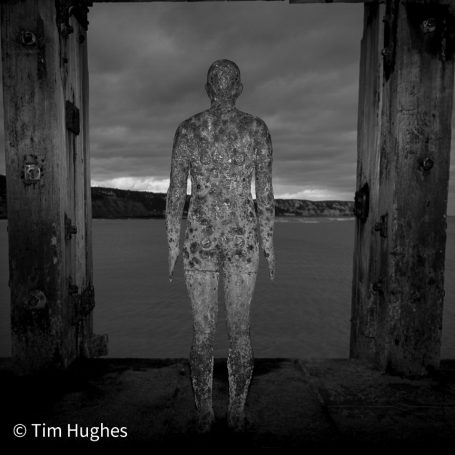 Gormley 5
