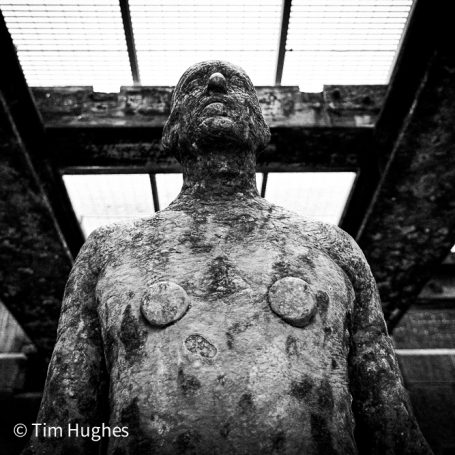 Gormley 2