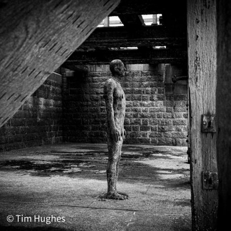 Gormley 1